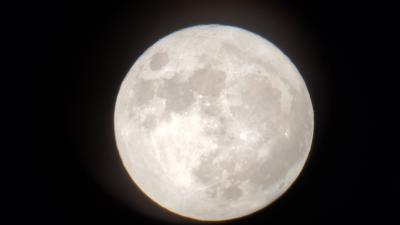 1500_16ddd03c2a1b647c8543694c7.jpg